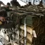 &laquo;В связи с истощением запасов&raquo;: США приостановили одобренные при Байдене поставки оружия и боеприпас