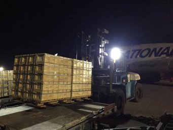 Два самолета ВВС США с боеприпасами стандарта НАТО приземлились в Киеве