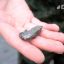 На месте крушения Ил-76 в Белгородской области нашли фрагменты ракеты