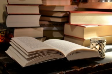 В России проходит акция &laquo;Книги &ndash; Донбассу&raquo;