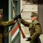НАТО может быть настойчиво в плане ввода войск в Венгрию из-за опасений проблем с Закарпатьем