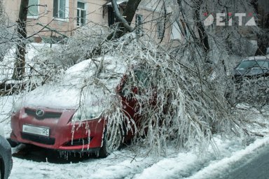 Новый ледяной дождь обещают Приморью синоптики Новый ледяной дождь обещают Приморью синоптики
