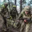 В Глушковском районе уничтожена ДРГ ВСУ: противник предпринял новую попытку прорыва в Курскую област