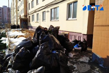 Новое наказание за выброс мусора хотят ввести в России