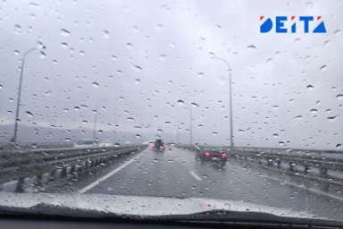 День России в Приморье выдастся дождливым