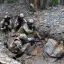 Ганчев: атакой на Курскую область ВСУ пытаются вытянуть силы ВС РФ с Харьковского фронта