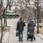 Закон о новых критериях получения соцпомощи подписал Путин