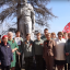 В Ленинградской области стартовала акция &laquo;Обелиск у дороги&raquo;