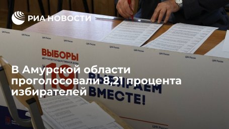 В Амурской области на 15:00 проголосовали 8,21 процента избирателей В Амурской области на 15:00 проголосовали 8,21 процента избирателей