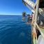 Опасность воды с &laquo;Фукусимы&raquo; оценивают российские ученые
