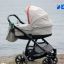 Сертификат для новорожденных ввели в Приморье&nbsp;