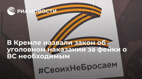 Пресс-секретарь Песков назвал закон об уголовном наказании за фейки о ВС необходимым
