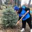 В России стартует международная акция &laquo;Сад памяти&raquo;