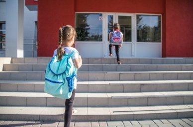 В Госдуме предложили ввести единый стандарт антитеррористической защищенности школ В Госдуме предложили ввести единый стандарт антитеррористической защищенности школ