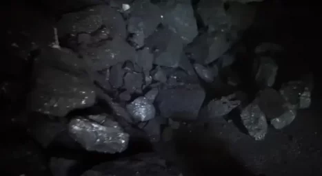Глава Минпромторга Польши обвинила экс-премьера Моравецкого в закупке миллионов тонн &laquo;ненужного&raquo; угл