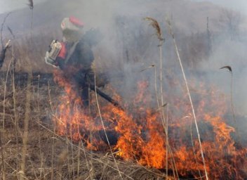 Горящую сопку тушат во Владивостоке Горящую сопку тушат во Владивостоке