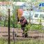 Готовьте 50 тысяч рублей: всех дачников предупредили о крупном штрафе