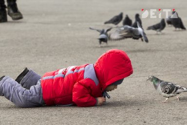 В Госдуме хотят запретить пропаганду чайлдфри В Госдуме хотят запретить пропаганду чайлдфри
