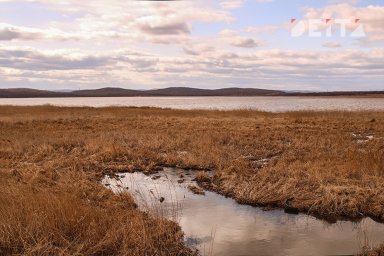 Таврический лиман не смогут "убить" в Приморье Таврический лиман не смогут "убить" в Приморье