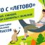 В июне стартует бесплатная летняя программа для школьников из всех регионов России